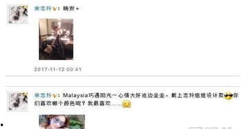 娱乐最近热门消息