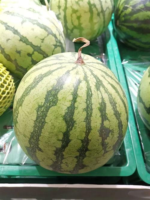 吃瓜网51官网版.吃瓜大瓜事件,吃瓜大瓜事件全解析