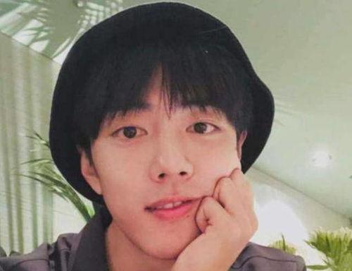 网红热瓜 明星黑料最新,明星黑料背后的真相与反思