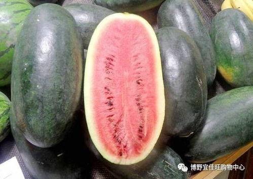 热门大瓜每日更新校园网红 吃瓜黑料,每日大瓜，吃瓜黑料速递