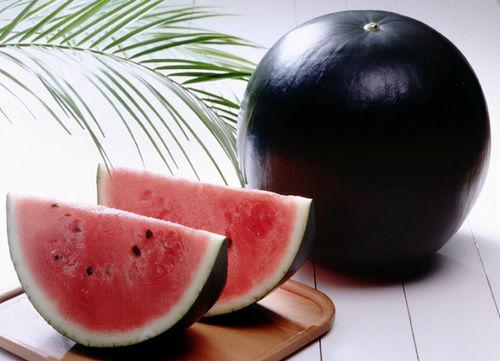 热门大瓜每日更新校园网红 吃瓜黑料,每日大瓜，吃瓜黑料速递