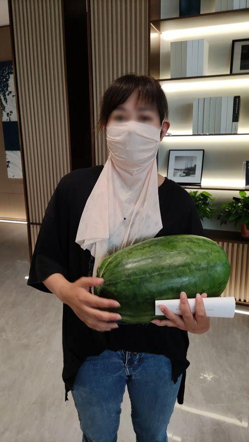 热门大瓜往期内容,那些你不知道的内幕与真相