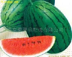 吃瓜网51官网版